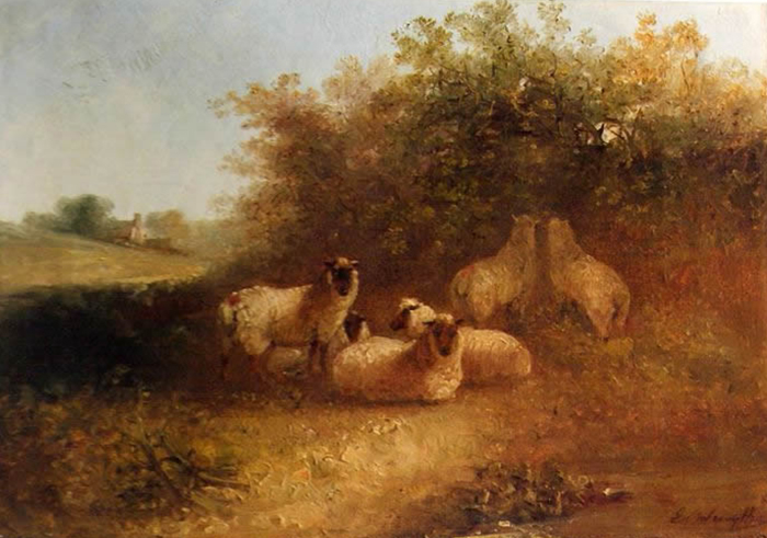 sheep-large-after